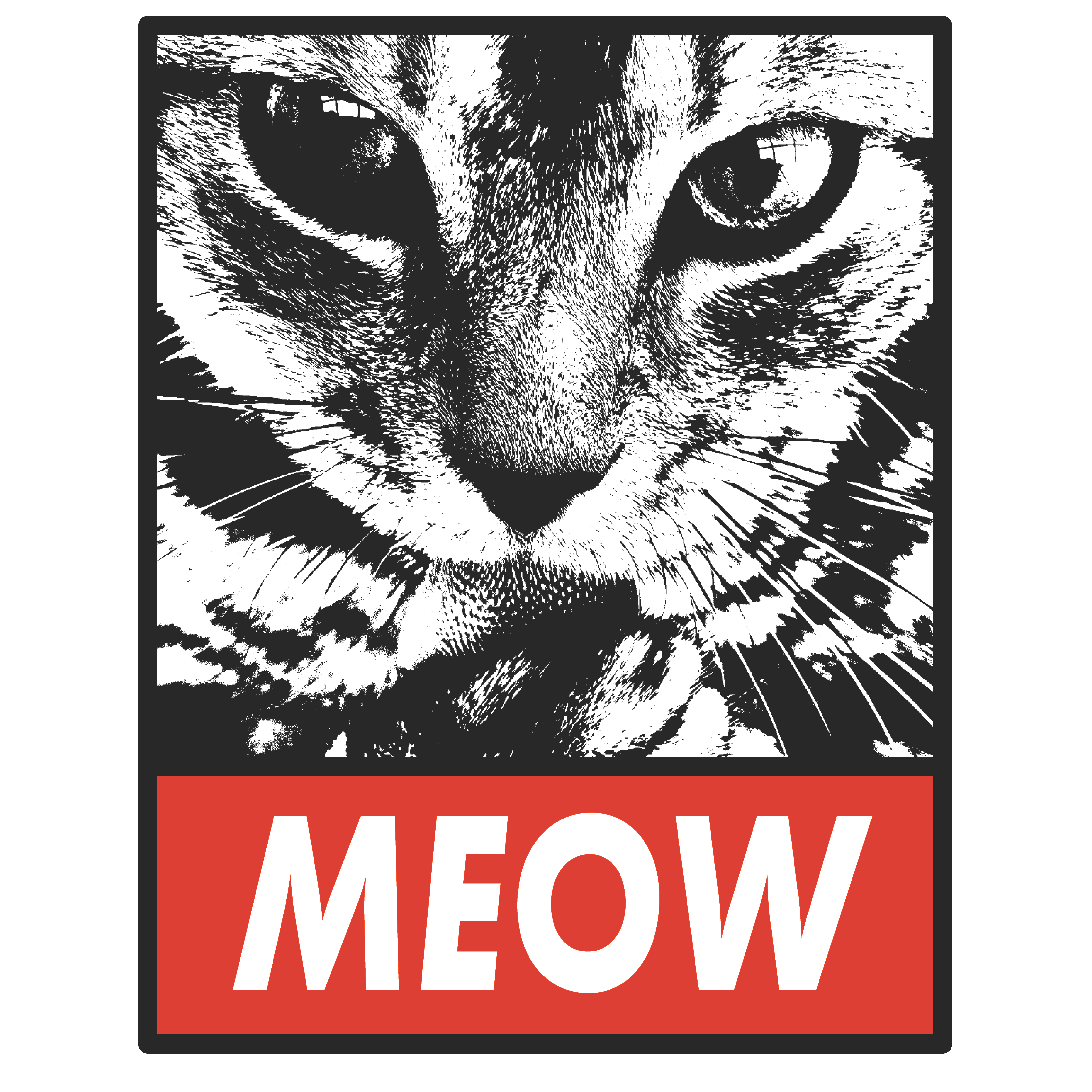 😻 "MEOW" Graphic Unisex T-Shirt